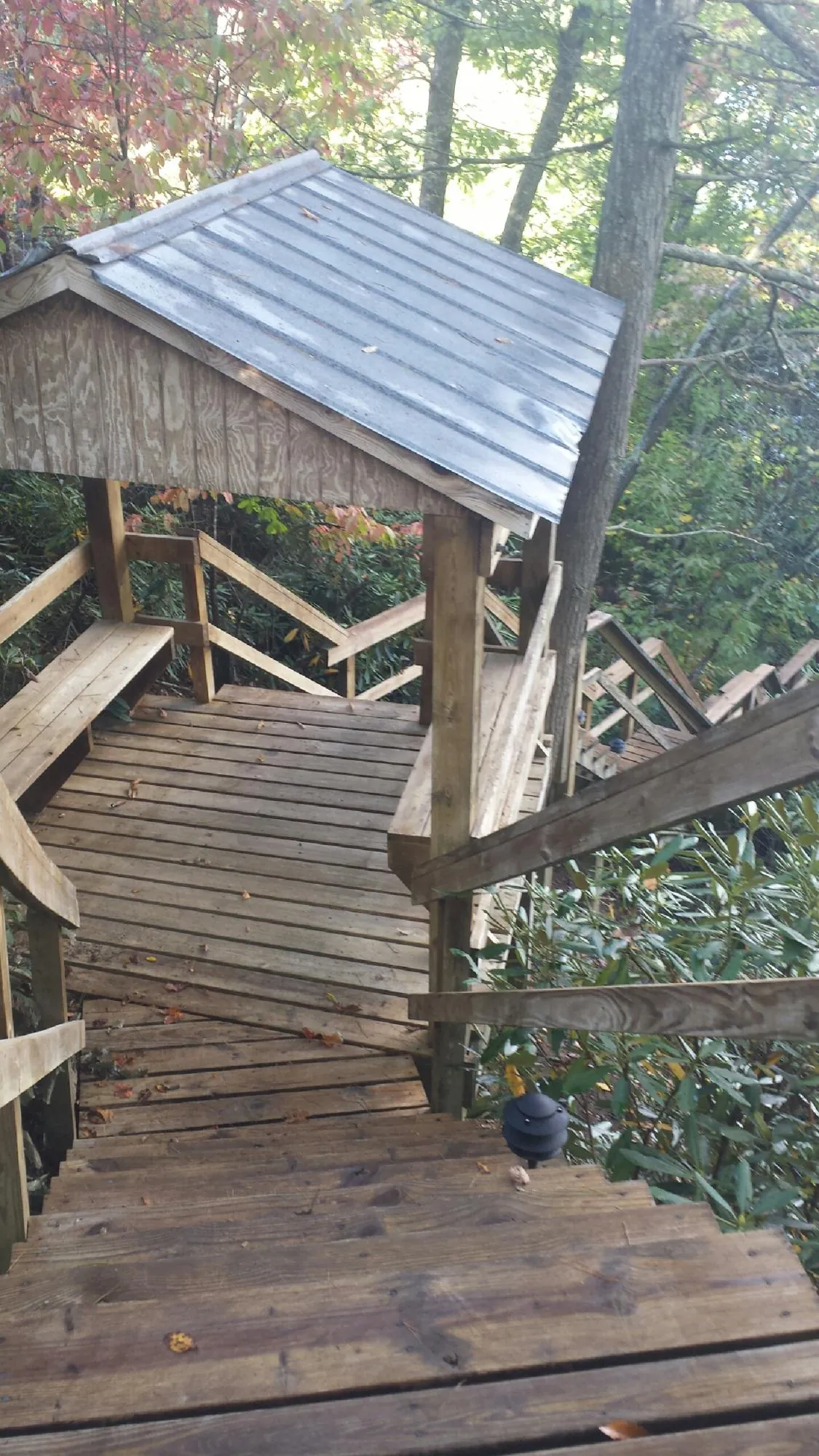 Metal roofed shelter over wooden steps on a wooded walkway — Skylight Repair & Installation work by our crew in Tunica