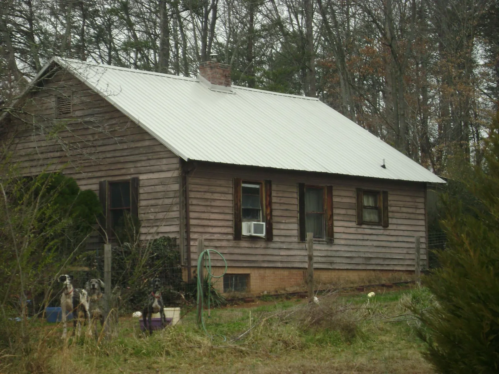 White metal roof on an old wood sided farmhouse, from a Asphalt Shingle Roof Repair job in Tunica